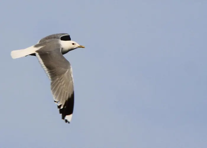 Keitaanniemen Lomamoekki Шале Haapamaki (Central Finland)